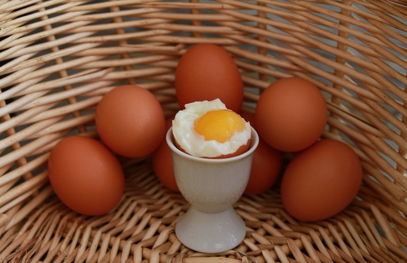 新鮮で美味しい卵の選び方～フランスのスーパーで迷ったら～