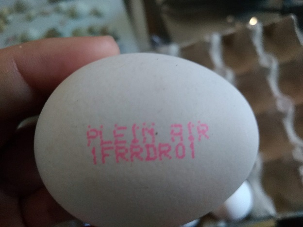 卵の情報は卵にも直接印字されている